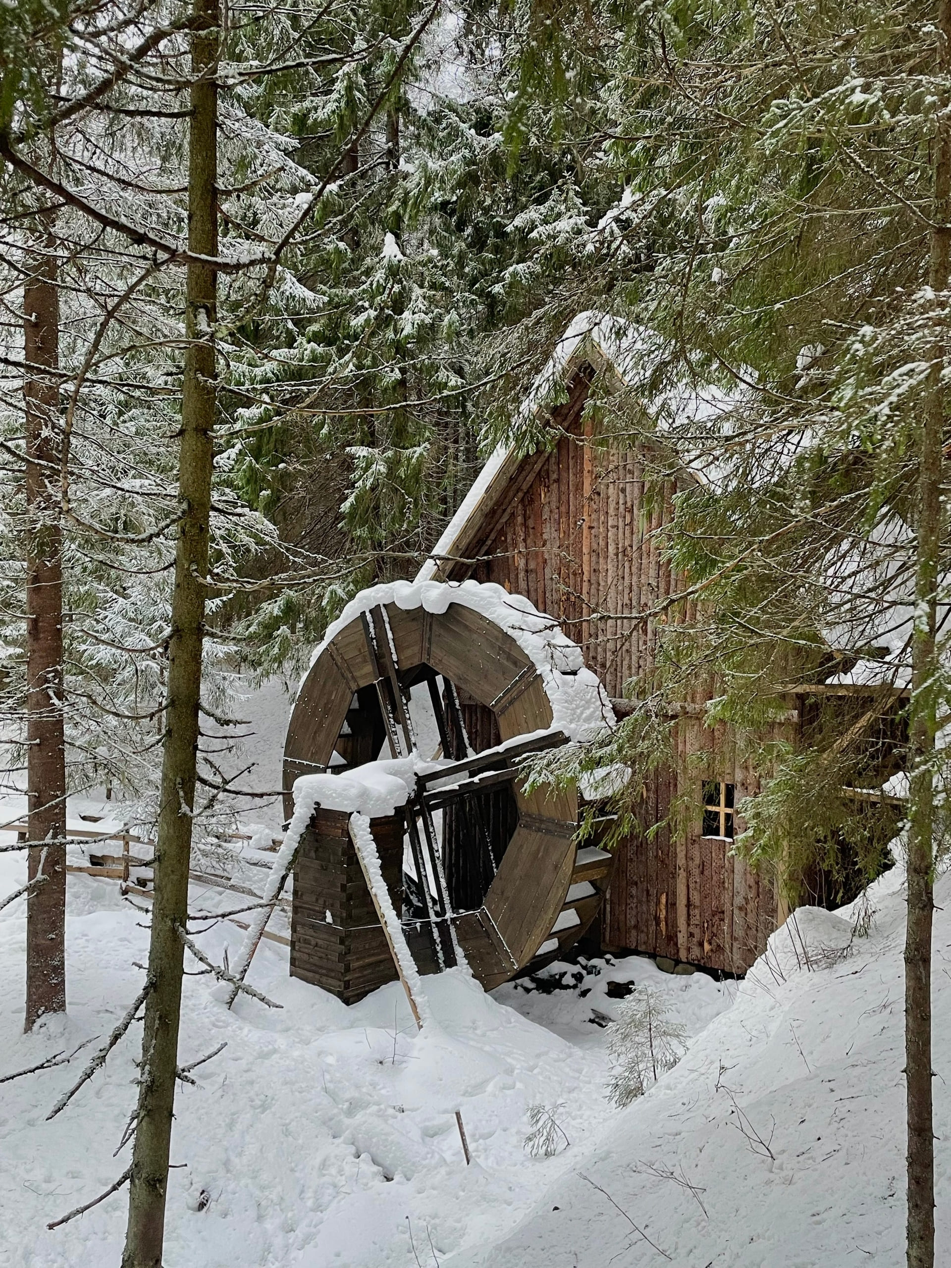 Фото 9